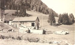 Berghotel Mühle Sägewerk